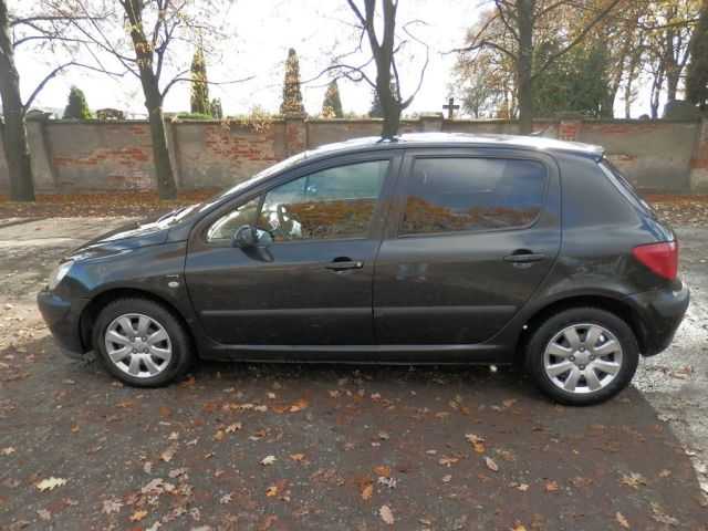 Peugeot 307 hatchback 80kW nafta 200503