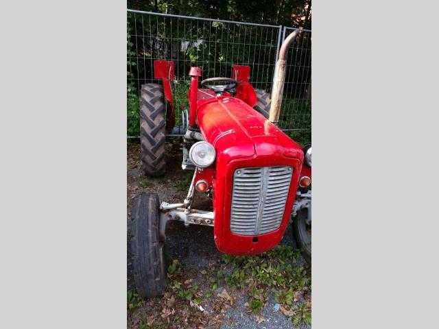 Massey Ferguson 3.0d traktor 29kW nafta 1959